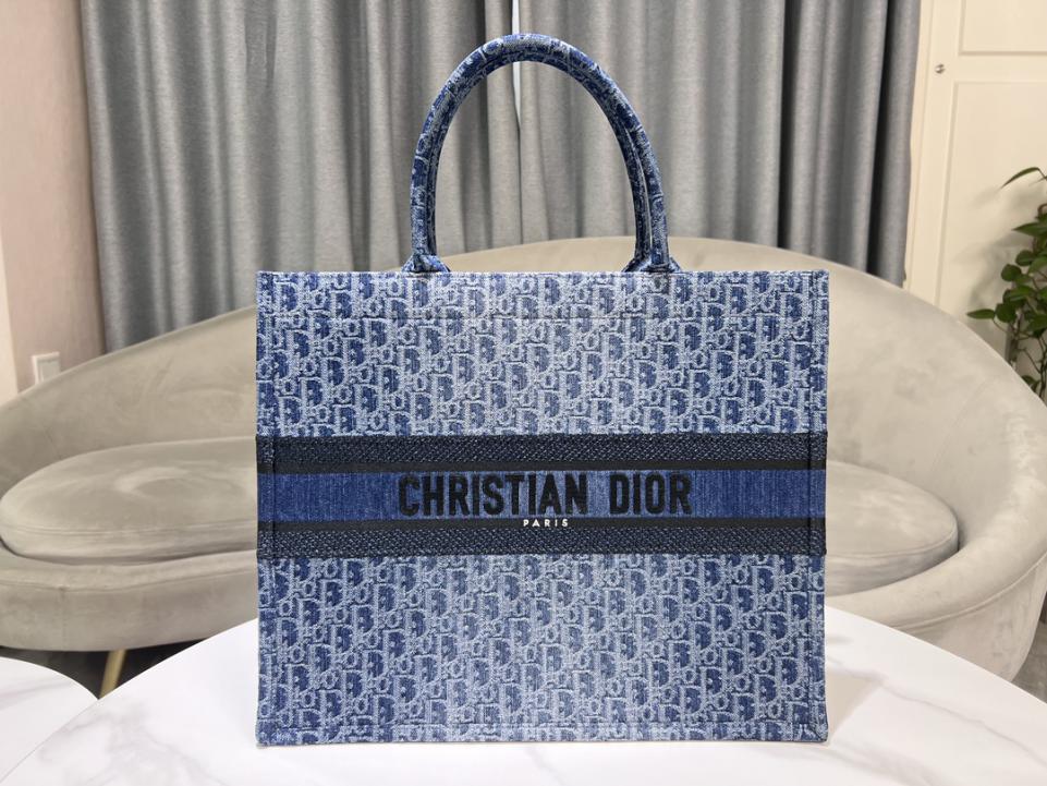 DIOR BOOK TOTE