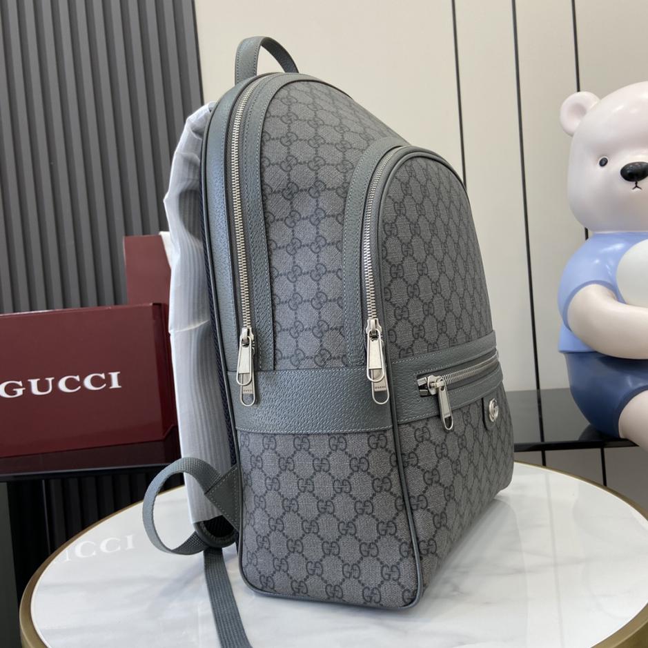 Gucci BOphidia