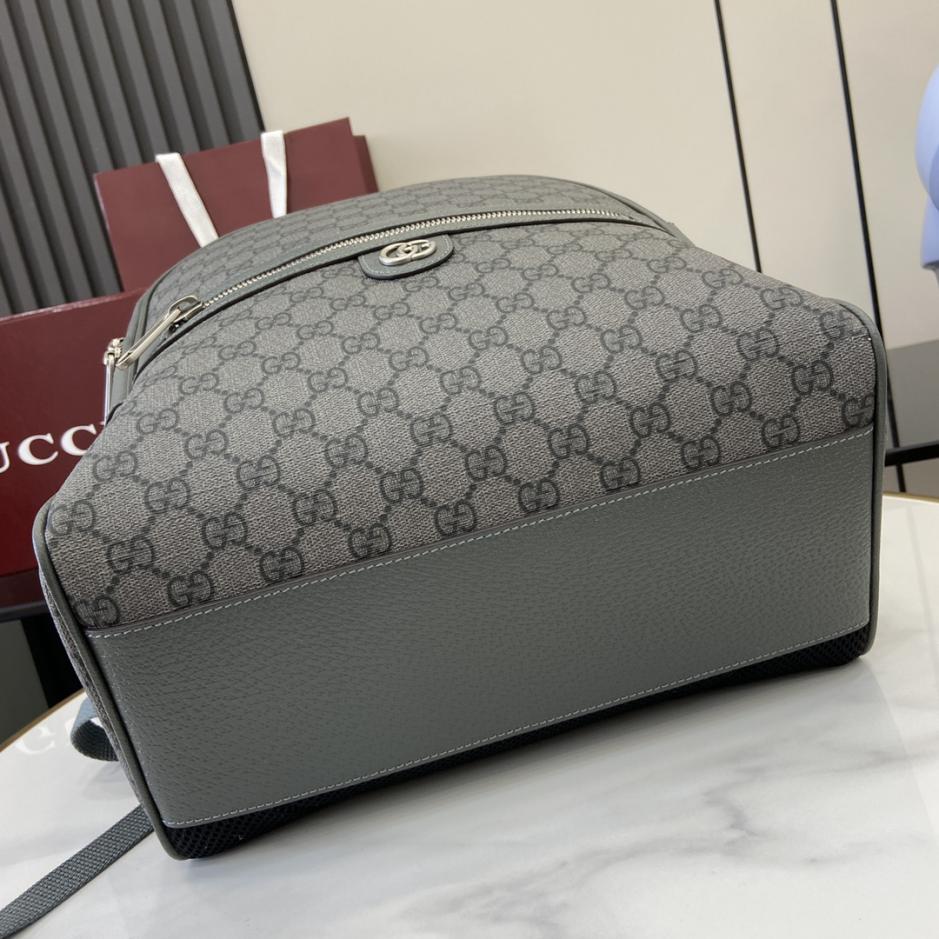 Gucci BOphidia
