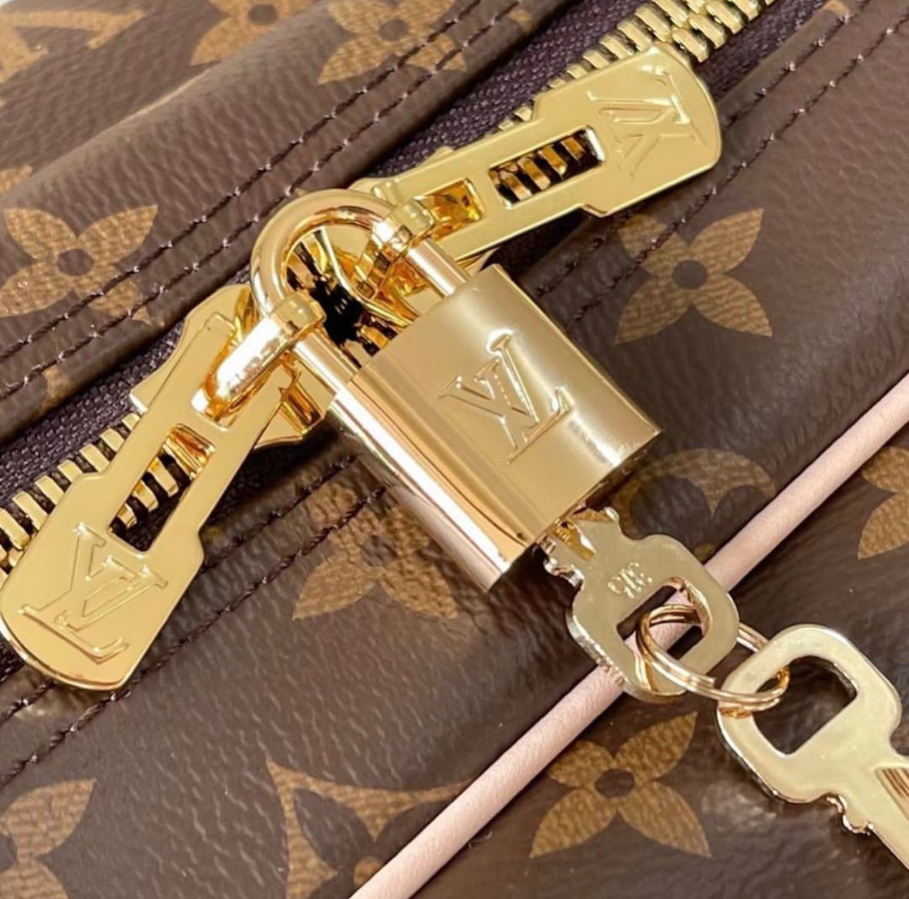 Louis Vuitton Borsa Carryall in Tela Monogram