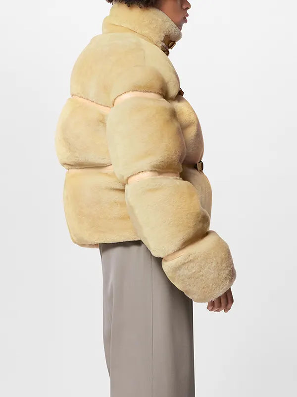 Louis Vuitton Shearling Down Blouson